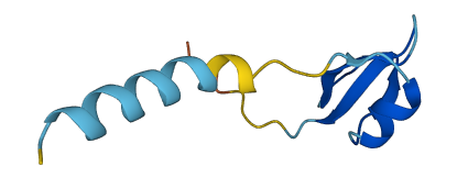 Defb7 3D structure