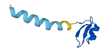 Defb8 3D structure