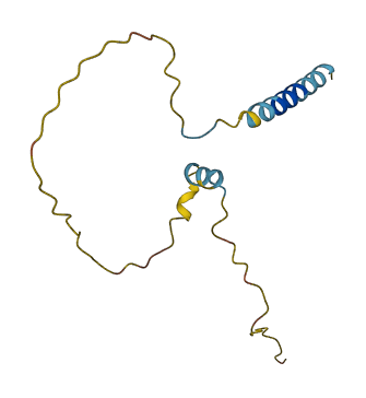 Gm5617 3D structure