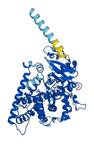 Cyp2c70 3D structure