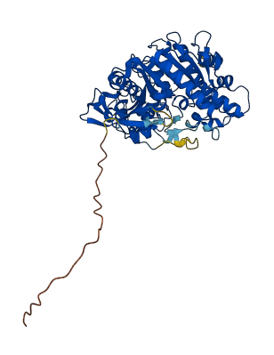 Ces2c 3D structure
