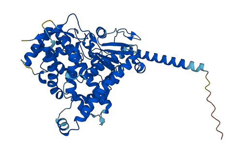 Cyp4a12a 3D structure