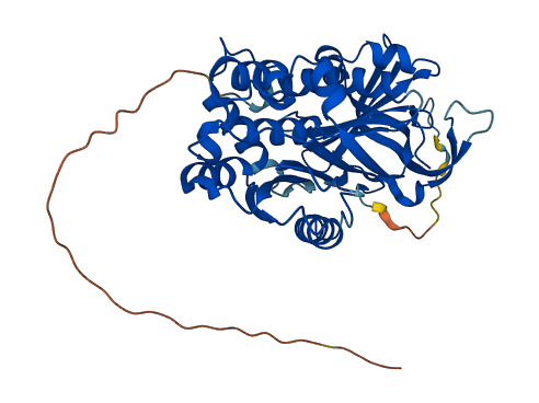 Serpina3n 3D structure