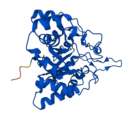 Akr1c21 3D structure