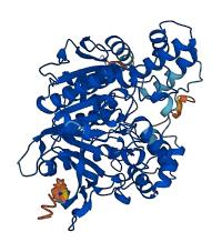Ces1f 3D structure