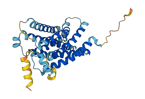 Mrgpra4 3D structure
