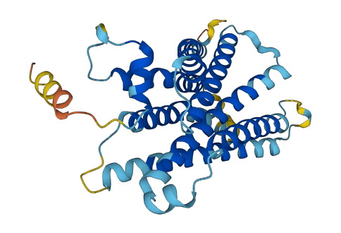 Mrgpra3 3D structure