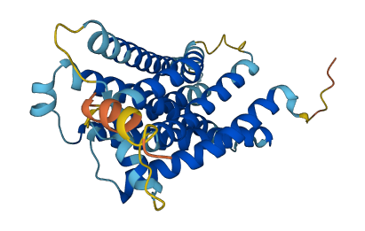 Mrgpra2 3D structure
