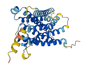 Mrgpra1 3D structure