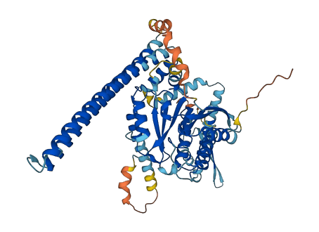 D6Wsu163e 3D structure