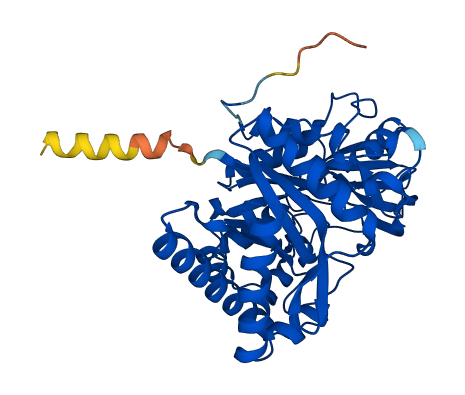 Chil4 3D structure