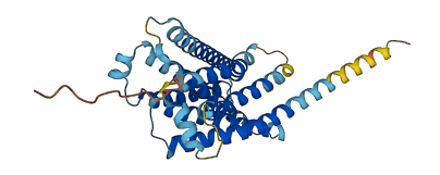 Mrgprb4 3D structure