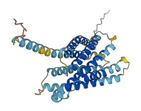 Mrgprb3 3D structure