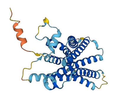 Mrgpra8 3D structure