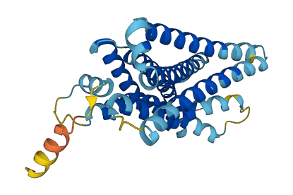 Mrgpra7 3D structure