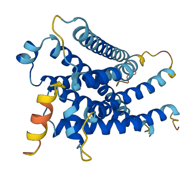 Mrgpra6 3D structure