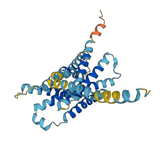 Mrgpra5 3D structure
