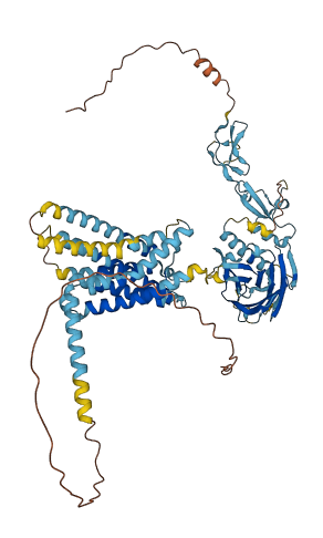 Adgre4 3D structure