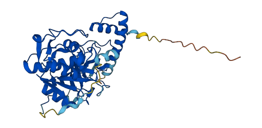 Cts7 3D structure