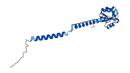 Cd209e 3D structure