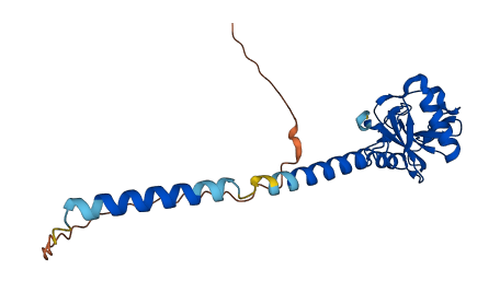 Cd209a 3D structure