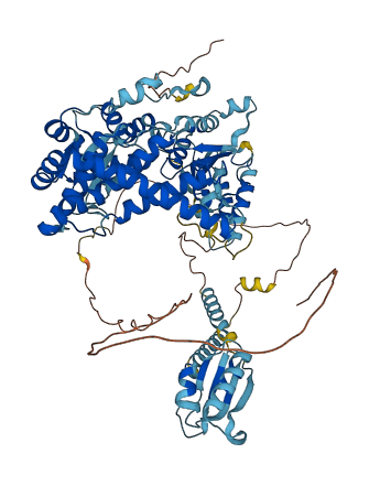Afg3l1 3D structure