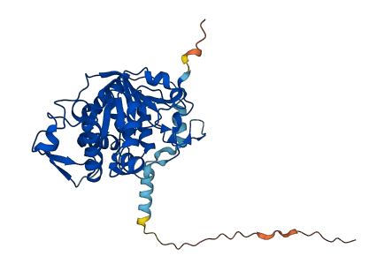 ST8SIA1 3D structure