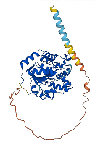 ST8SIA2 3D structure