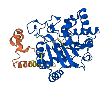 ST8SIA4 3D structure