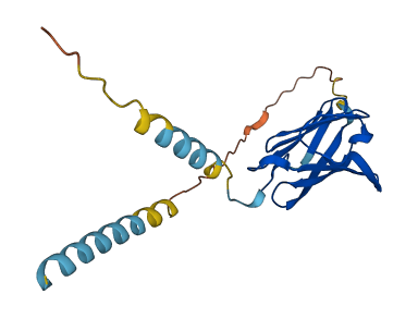 Sectm1a 3D structure