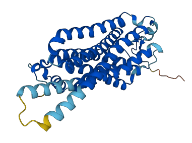 Taar8c 3D structure