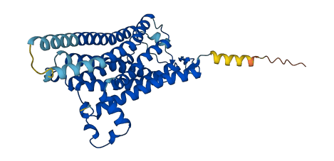 Taar7g 3D structure
