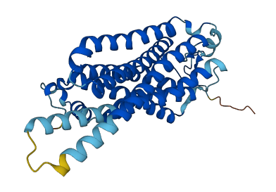 Taar8b 3D structure