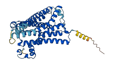 Taar7h 3D structure