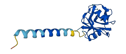 CLEC2B 3D structure
