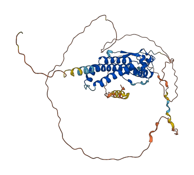 TFAP2B 3D structure