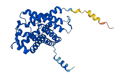 AQP3 3D structure