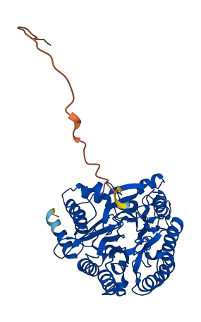 SMPDL3A 3D structure
