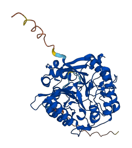 SMPDL3B 3D structure