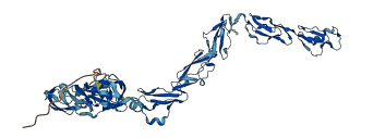 CFHR4 3D structure