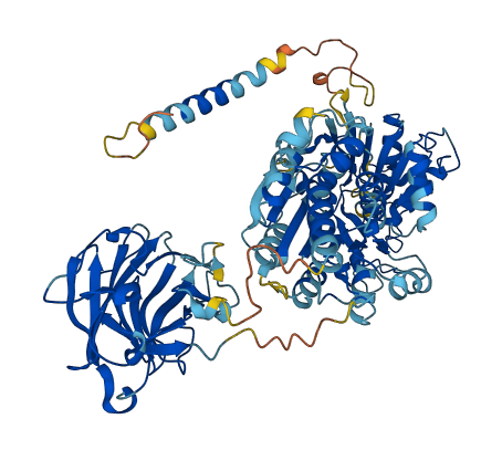 DDX1 3D structure