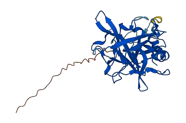 Prss28 3D structure