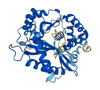 Oas1c 3D structure