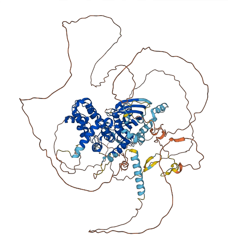 STARD8 3D structure