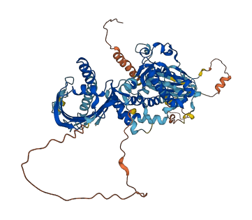 SEC14L1 3D structure
