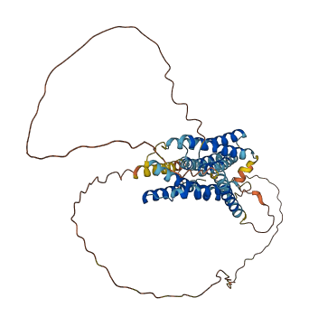 SLC39A7 3D structure