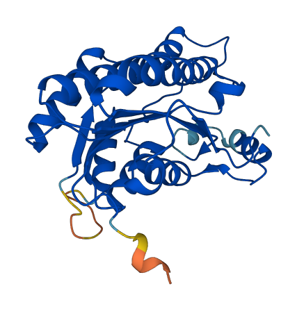 HSD17B8 3D structure
