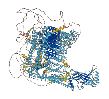PIEZO1 3D structure