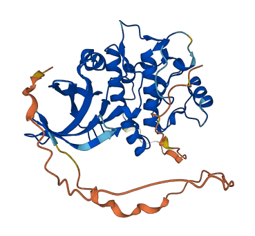 TRIB2 3D structure