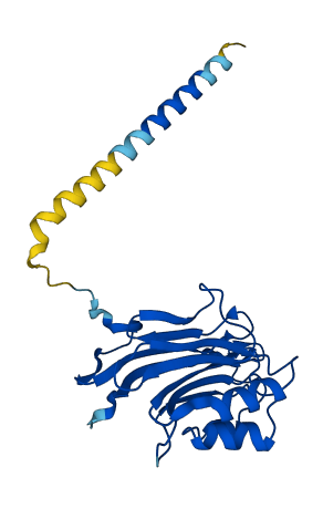 FAM3C 3D structure